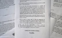 VI - Création du FLNC : cinquante ans après : ce qu’il reste de l’héritage de 1976