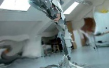 "Possibilités de dialogue" : Jeanne De Petriconi à l'Espace Orenga de Gaffory de Patrimoniu