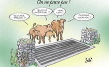 Le dessin de Battì : on ne passse pas !