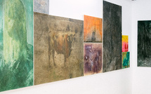À la Citadelle d’Ajaccio, Alfons Alt sublime la Corse dans l’exposition Altotipi Corsi