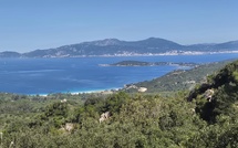 U tempu in Corsica
