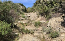 U tempu in Corsica
