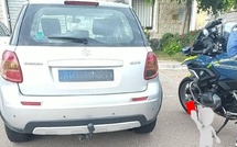 Figari :  "En retard pour aller travailler", un conducteur intercepté à 140 km/h au lieu de 80 sur la RD 859