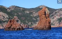 La Corse accueille le Congrès des Réserves naturelles de France autour de la restauration des écosystèmes