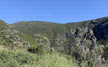 U tempu in Corsica