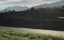 U tempu in Corsica
