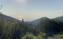 U tempu in Corsica