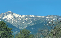 U tempu in Corsica