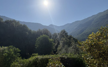 U tempu in Corsica