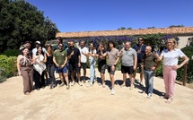 AOP Calvi : depuis quelques années, la nouvelle génération de vignerons prend le relais