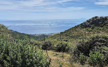 U tempu in Corsica