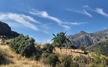 U tempu in Corsica