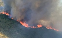 Castello-di-Rostino : un incendie de végétation mobilise d’importants moyens