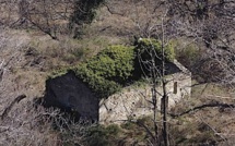 La commune de Lucciana veut restaurer la chapelle romane San Michele