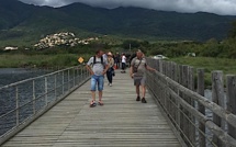 La Réserve naturelle de Biguglia sur la "fréquence grenouille" 