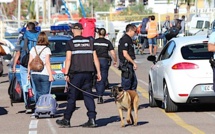 Contrôles de Gendarmerie à l'arrivée du "Corsica Victoria"à Calvi