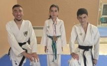 Karaté - Une belle première médaille nationale pour le Dojo Cobra Kai de Bastia