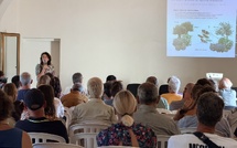 Corsica Grana célèbre dix années d’engagement pour une filière végétale insulaire durable