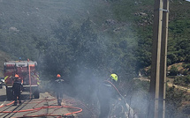Haute-Corse : deux incendies se déclarent à Olmeta-di-Tuda et Biguglia
