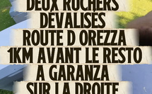 Vol de 250 ruches en Castagniccia : un appel à témoins après un préjudice considérable