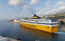 Des scientifiques embarquent sur les navires de la Corsica Ferries pour observer les cétacés