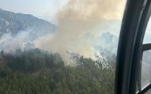 Incendies en Haute-Corse : les foyers d'Albertacce et de Corte sont loin d'être maîtrisés