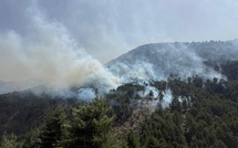 Incendies : la lutte se poursuit à Albertacce et Corte-Restonica
