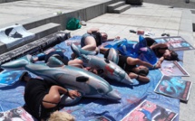 Massacre aux Iles Feroé : Manifestation devant le consulat du Danemark à Porto-Vecchio