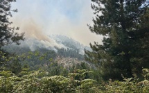 Incendies en Haute-Corse : un important dispositif maintenu et renforcé ce samedi