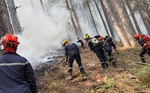 Incendies en Haute-Corse : plus de 400 hectares brûlés, les secours restent mobilisés face au risque de reprise