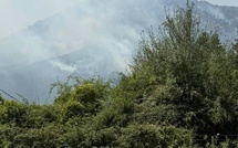Incendies en Haute-Corse : 480 hectares parcourus, sentiers de randonnée fermés, pompier blessé
