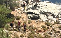 Incendies en Haute-Corse : plus de 530 hectares parcourus, les secours toujours mobilisés