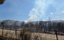 Patrimonio : Dix hectares de maquis parcourus par les flammes