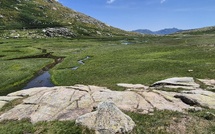 U tempu in Corsica