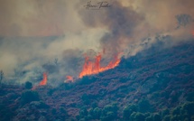 Incendie à Biguglia - 150 hectares parcourus, un important dispositif restera mobilisé toute la nuit