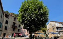 Vivario - Consensus autour du projet de la traverse du village