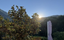 U tempu in corsica