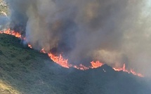 Le réseau électrique reconstruit après l'incendie de Canavaggia