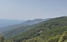 U tempu in Corsica