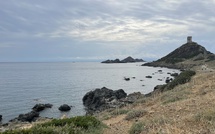 U tempu in Corsica