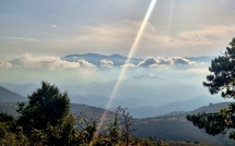 U tempu in Corsica