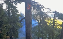 Haute-Corse : plusieurs feux encore sous surveillance