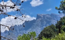 U tempu in Corsica