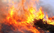 Aleria : un incendie parcourt 3,5 hectares à Teppe Rosse