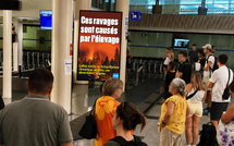 Incendies en Corse : la campagne de PETA contre l’élevage fait réagir la FDSEA