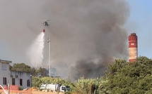 Ajaccio : un incendie ravage 5000m2 de végétation aux abords du stade Michel Moretti