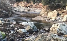 Sécheresse : la Haute-Corse maintient son niveau d’alerte
