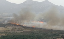 Haute-Corse : un incendie attisé par le vent menace des habitations à Calenzana
