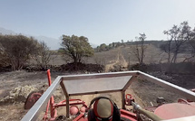 Incendie de Calenzana-Montegrosso : le feu fixé après avoir parcouru 64 hectares