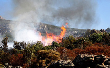 Cagnanu : un incendie parcourt 10 à 15 hectares de maquis